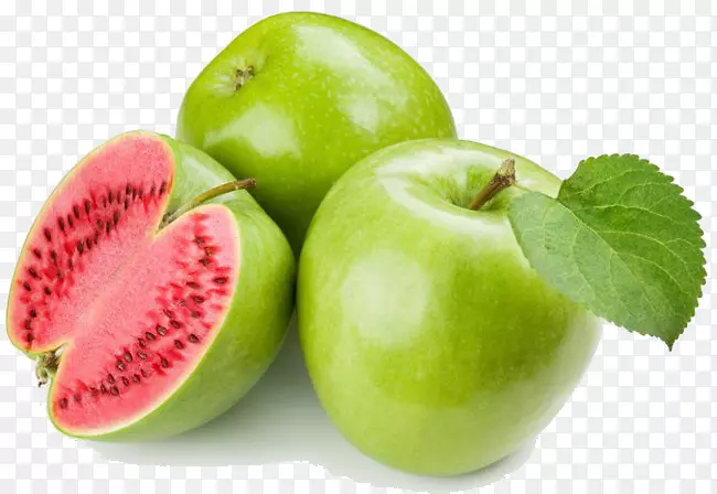 基因工程水果遗传学苹果转基因生物-苹果叶图