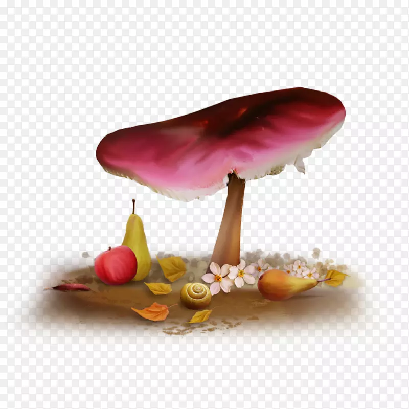 夜间博客天空壁纸-森林蘑菇