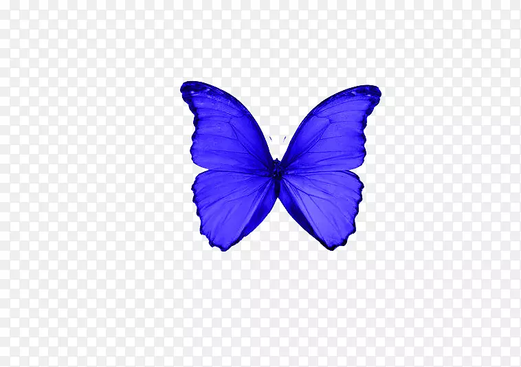 喷墨纸激光打印书写纸紫蓝蝴蝶