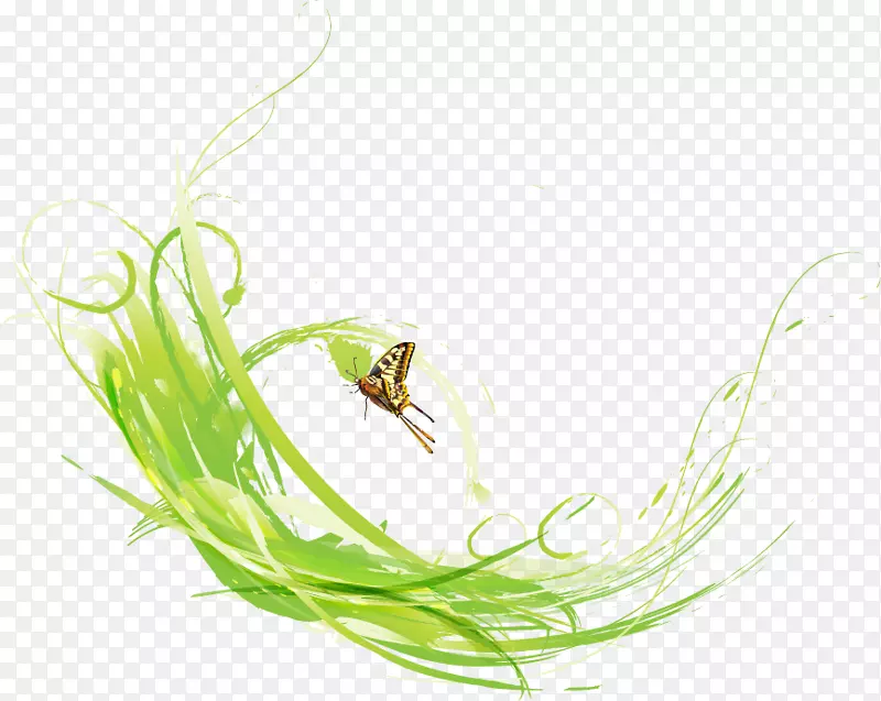 蝴蝶绿-绿草蝶