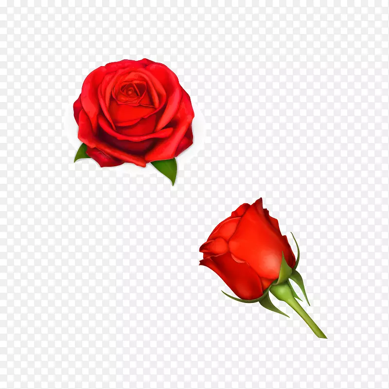 玫瑰花卉设计-玫瑰