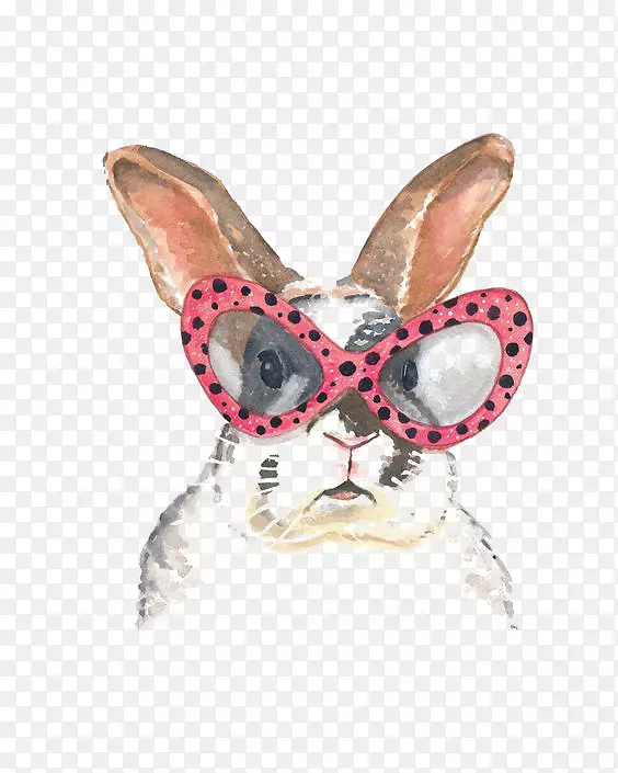 小兔子的故事t恤兔子水彩画服装卡通兔