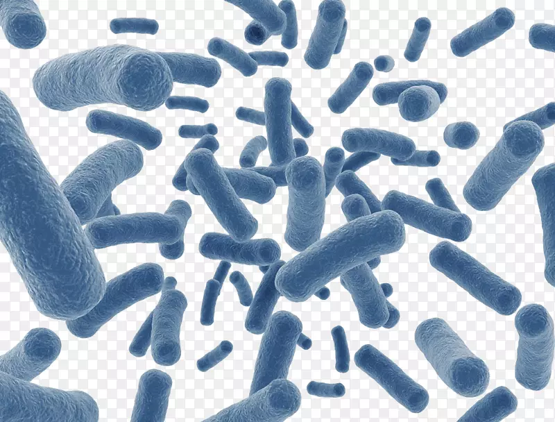 人类微生物群计划膳食补充剂疾病肠道菌群-天蓝色昆虫状微生物