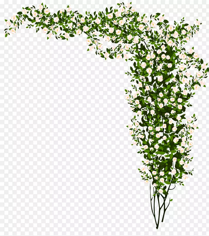 植物闪光视频Matroska-花卉植物