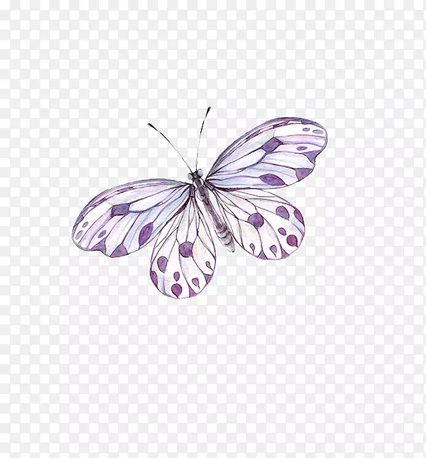 蝴蝶纹身诗纸-紫色蝴蝶