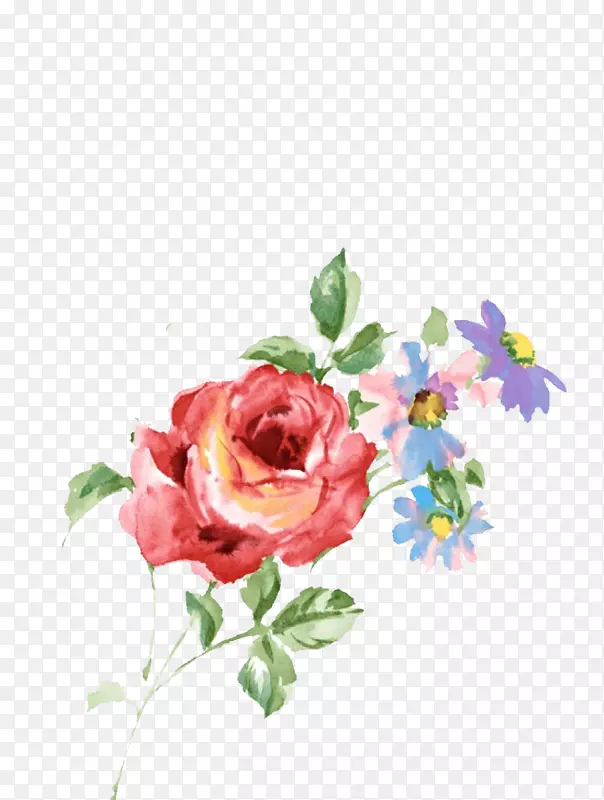 水彩画花卉摄影水墨画插图手绘玫瑰