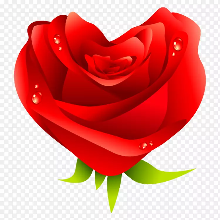 爱心情人节玫瑰