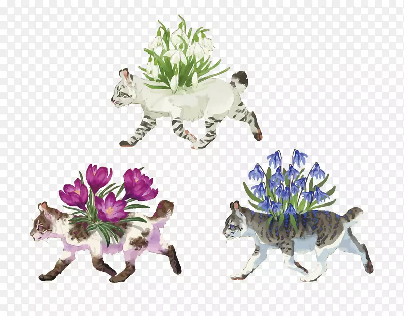 猫花设计.小猫和花