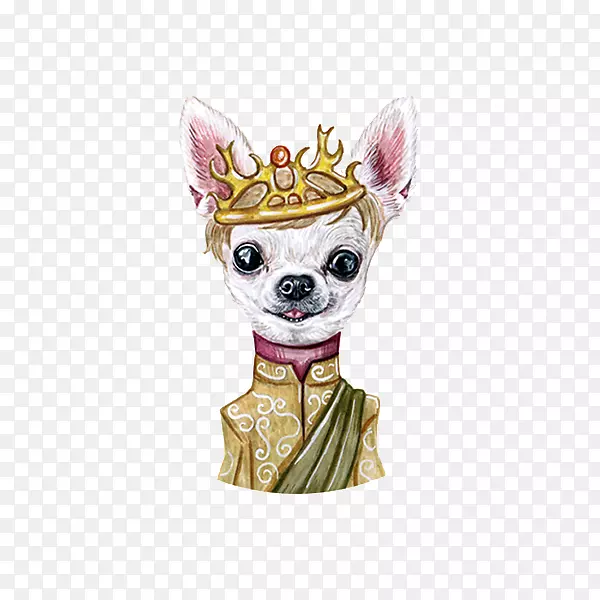 吉娃娃小狗图-狗头上的皇冠