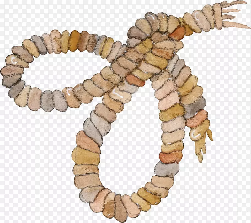 动态绳夹艺术-美丽的棕色绳