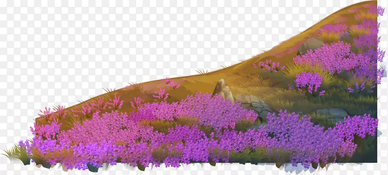 英国薰衣草紫载体-薰衣草至紫奇幻材料植物