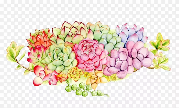 肉质植物花卉设计水彩画.多色花束肉