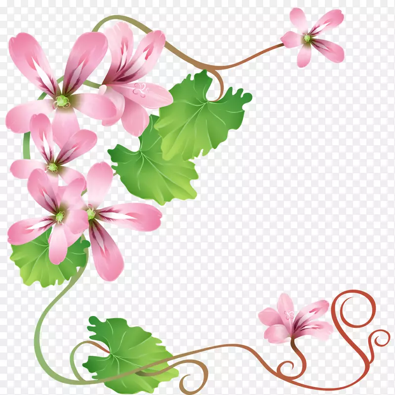 花卉水彩画-花卉装饰