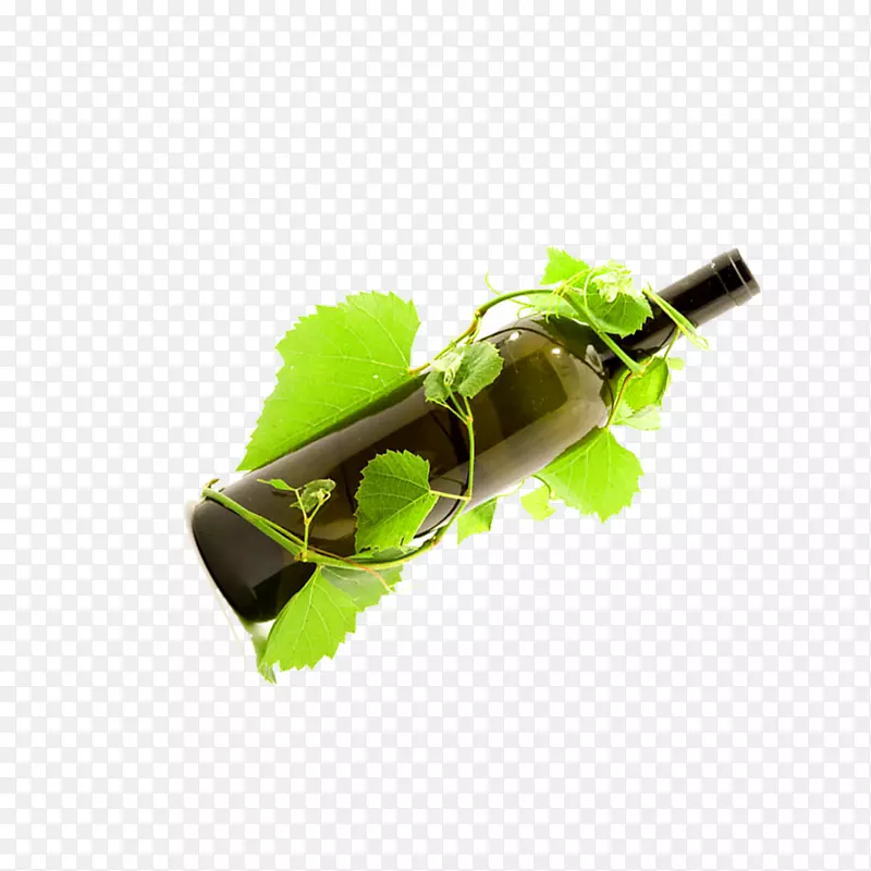 葡萄酒叶绿瓶