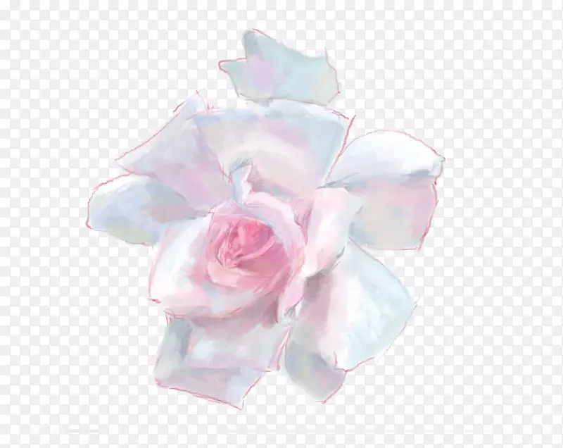 蔷薇园玫瑰，蜈蚣玫瑰，粉红色植物
