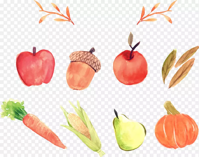 苹果图标-卡通画苹果蔬菜