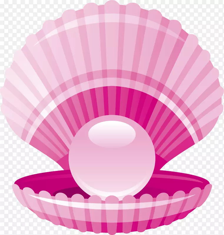蛤蜊珍珠贝壳-粉红色新鲜珍珠壳