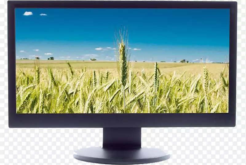 电脑显示器液晶电视液晶显示器液晶电视屏幕