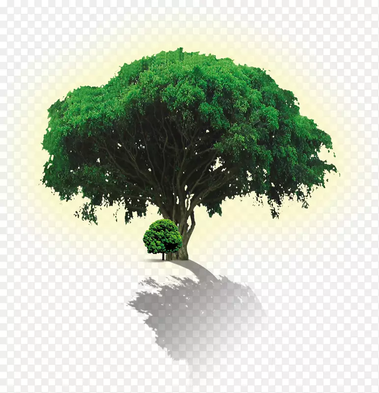 环保海报绿树广告