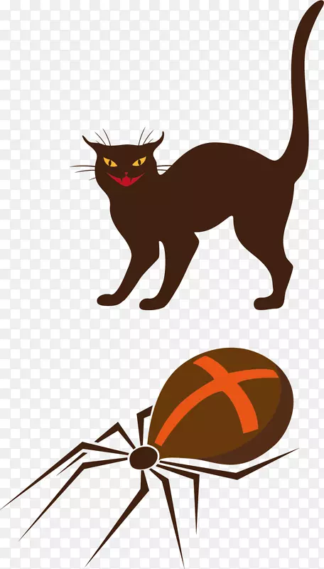 胡须黑猫万圣节剪贴画卡通猫和蜘蛛材料