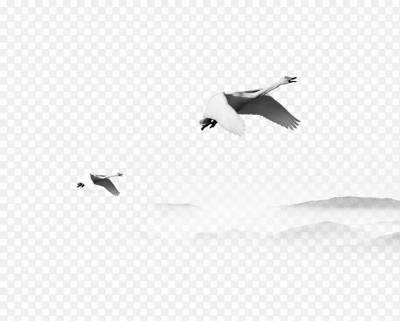 白鸟喙纹-鹤山黑白墨装饰淡水