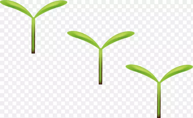 发芽绿叶谷歌图片-小豌豆
