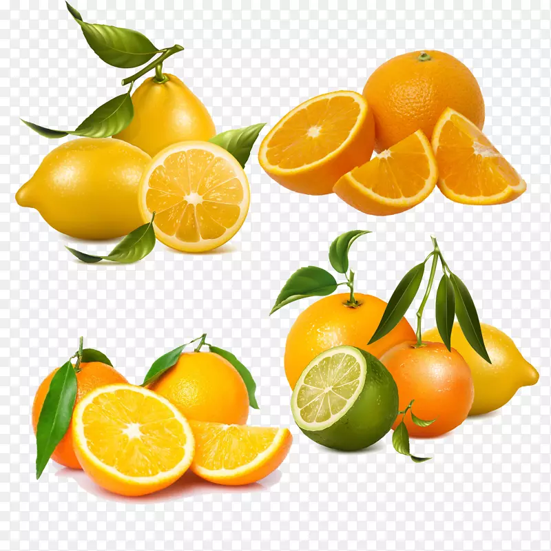 软饮料储藏室橘子饮料罐-柠檬和橘子