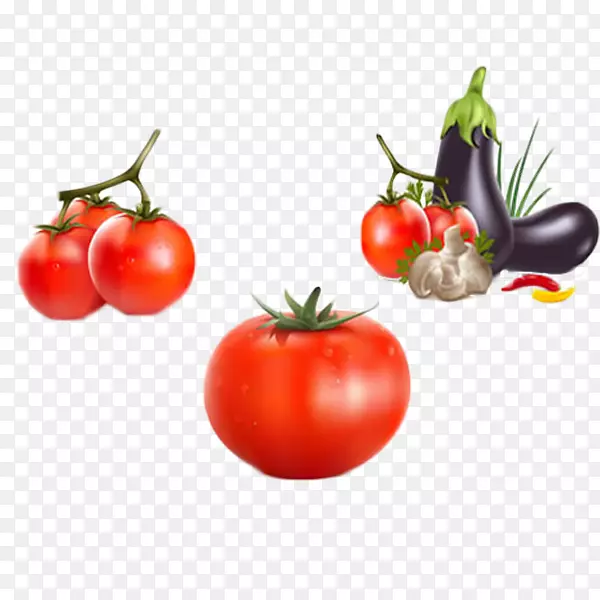 蔬菜番茄茄子图标-新鲜蔬菜