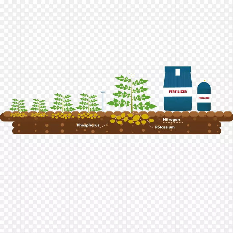 肥料植物农业-肥料植物生长