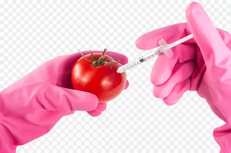 转基因食品转基因番茄转基因生物基因工程转基因番茄透明背景图谱