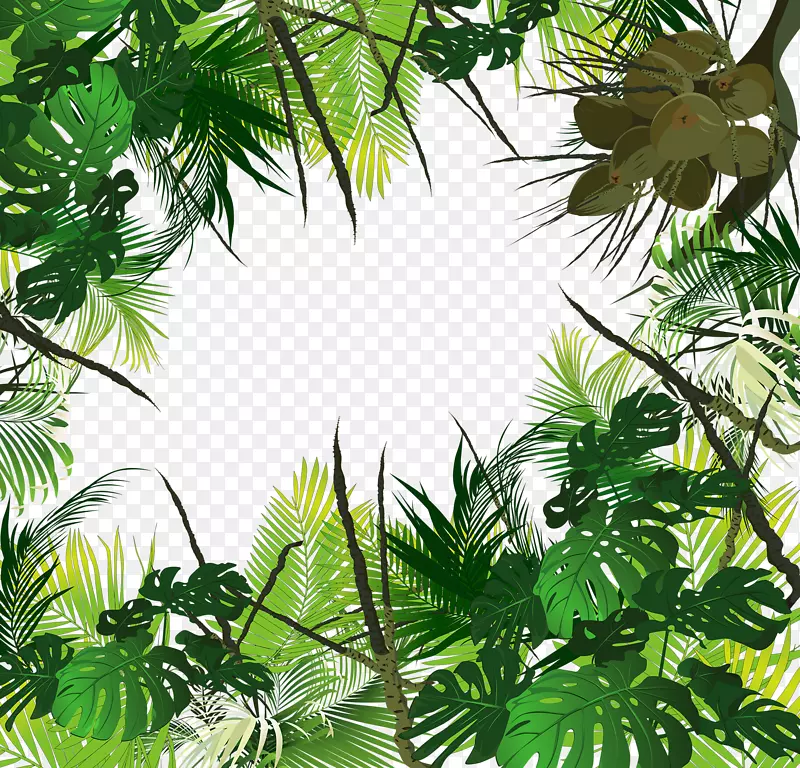 热带森林亚马逊雨林热带雨林-热带树木