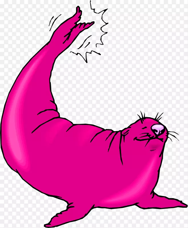 无耳海豹海狮画夹艺术.红海狮