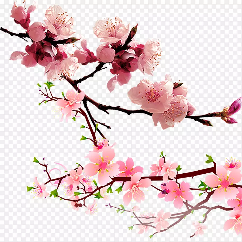 光栅图形计算机文件-桃花材料