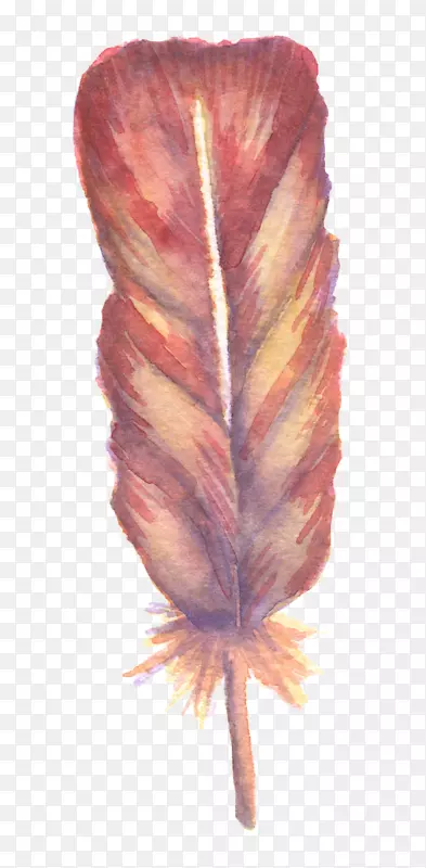 水彩画：花卉水彩画羽毛-超级漂亮的新鲜水彩画系水彩画羽毛