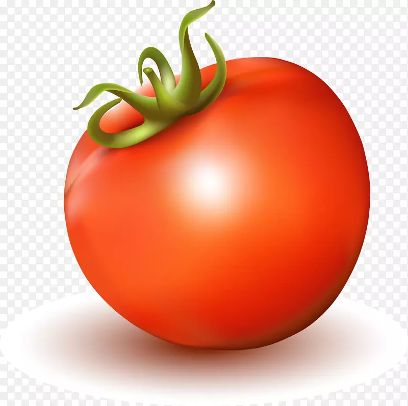 番茄汁番茄汤-载体番茄