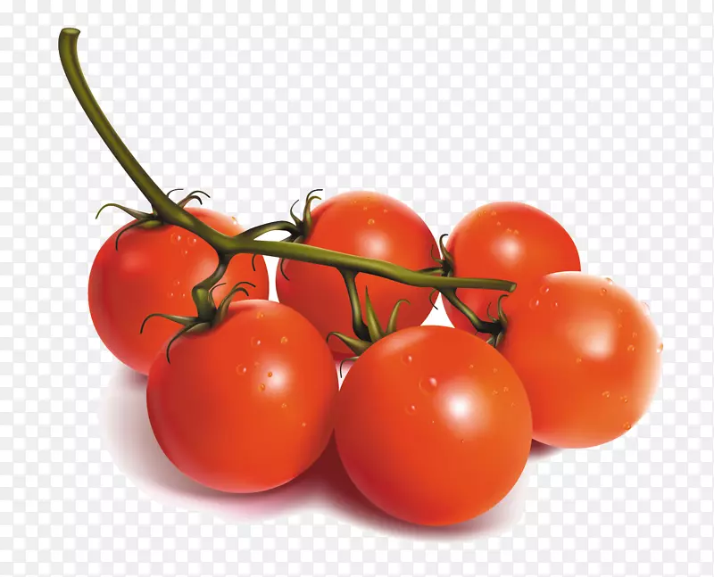 樱桃番茄蔬菜.手绘樱桃番茄