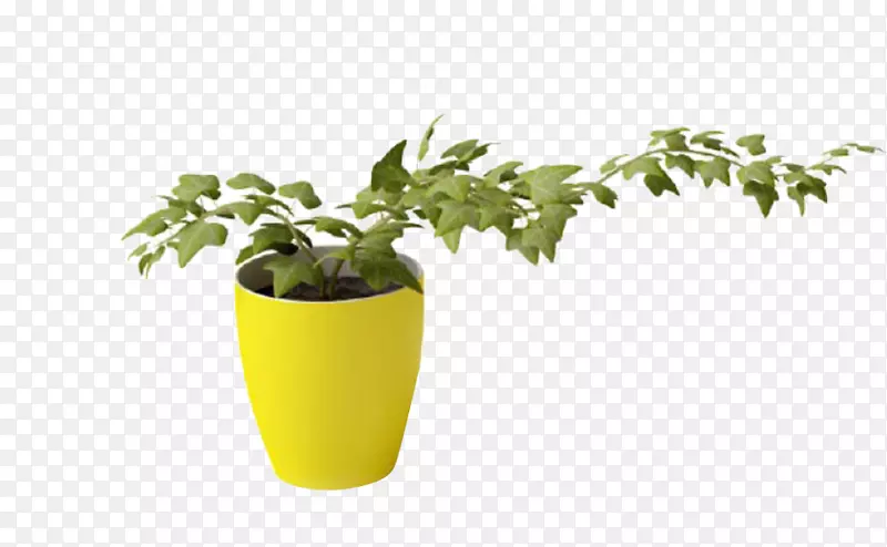 植物藤蔓三维造型花瓶-保健罐