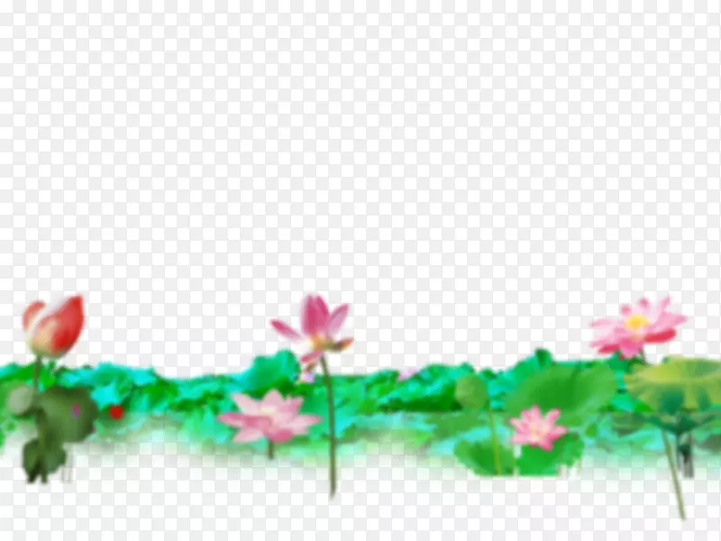 花卉设计海报横幅墙纸-莲花