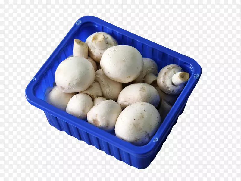 普通蘑菇香菇-一篮子蘑菇