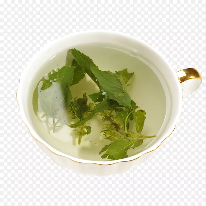 绿茶马格里比薄荷茶一杯茶和薄荷叶