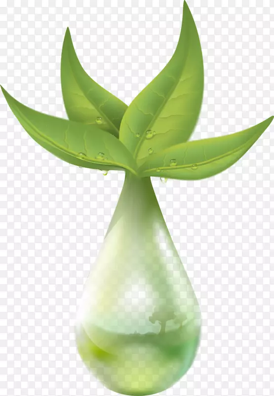 Pixabay萃取滴图-绿色植物