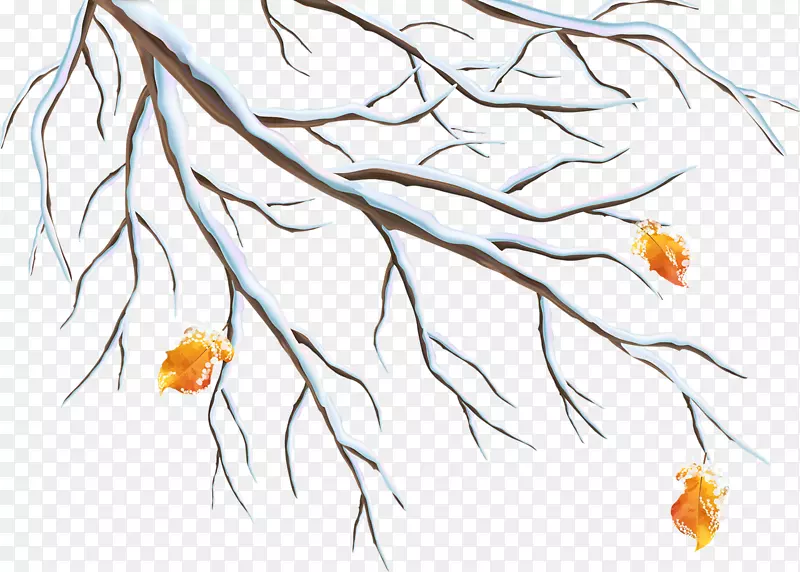 冬季树枝剪贴画-冬季树枝