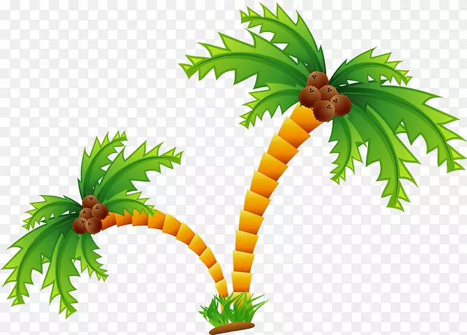 椰子树-手绘椰子树
