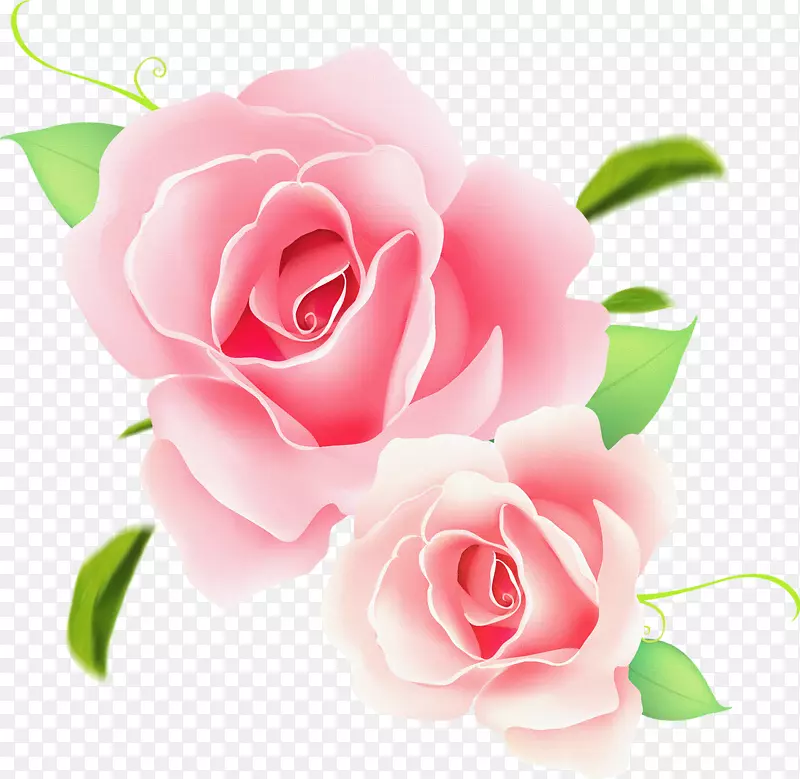玫瑰花夹艺术-粉红色玫瑰