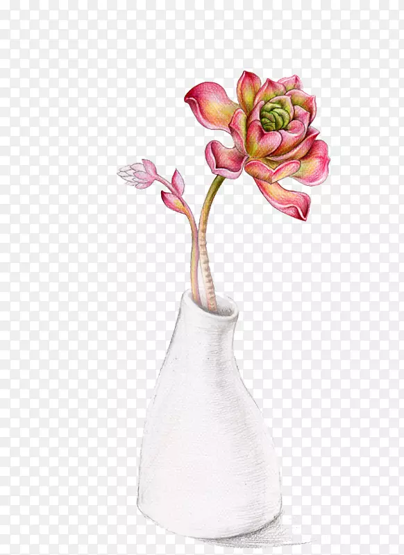 土壤肉质植物花瓶手绘花瓶