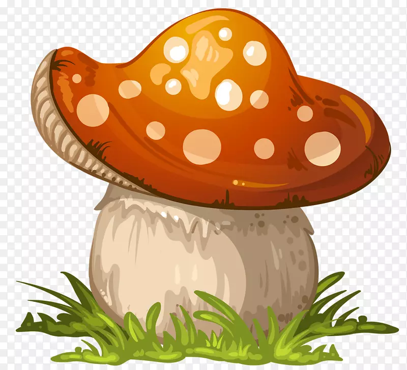 真菌蘑菇剪辑艺术-丰满蘑菇