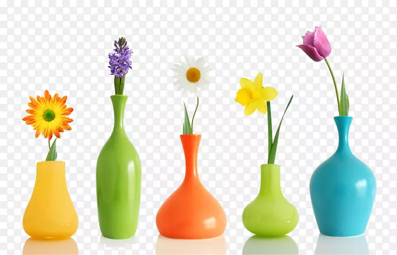 花瓶高清电视4k分辨率花卉壁纸不同颜色和花瓶