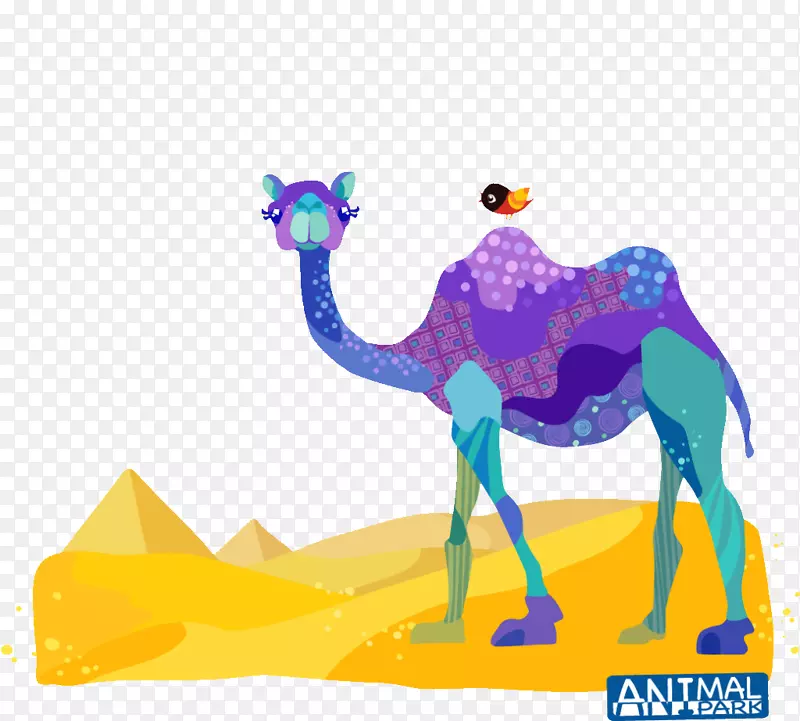 滴水画夹艺术-丢失骆驼