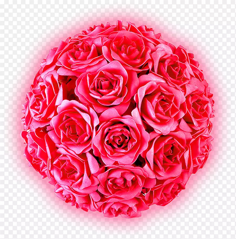 国际妇女节女性浪漫-玫瑰