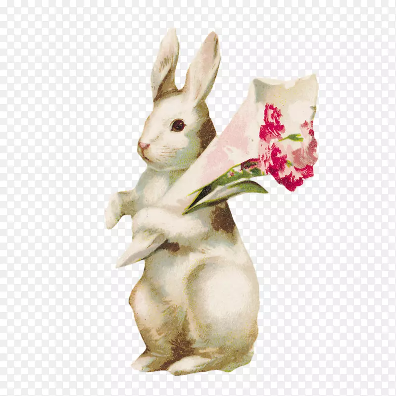 纸制胶带-兔